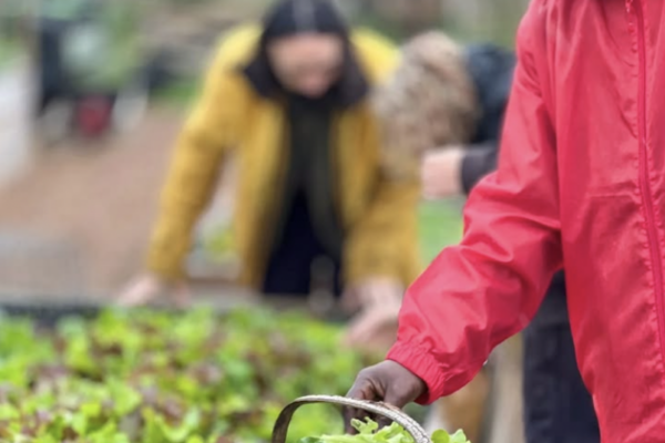 Grow Cook Eat Compost 14